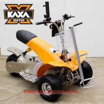 Electric Golf Cruiser