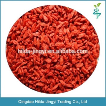 100% natural goji berry ningxia dried goji berry