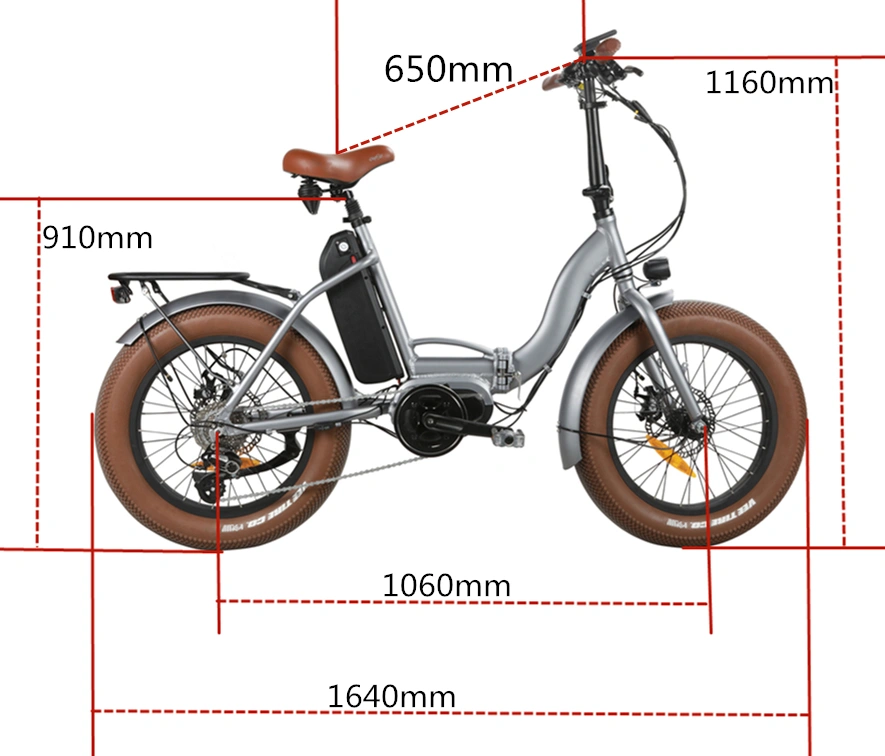 48V Big Power Folding Electric Bicycle E Bike/ 20inch Fat Tire Electric Bike