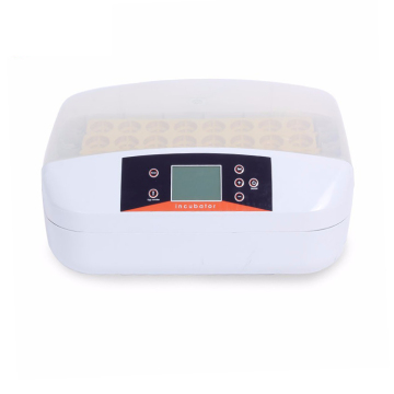 Factory Direct Sale: EW-32S Egg Incubator Controller IVF Equipment for Quail Eggs - Mini Incubator