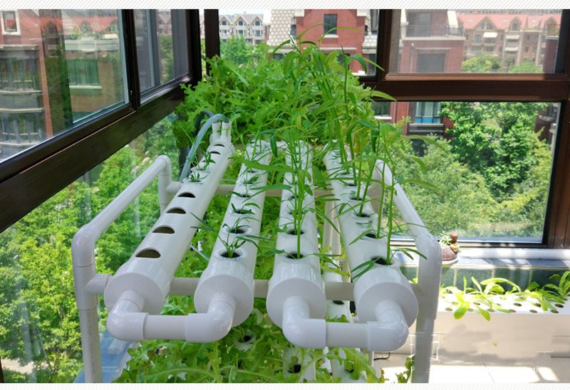 hydroponic kit