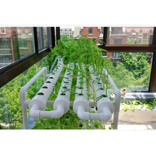 12 paip Hydroponics PVC NFT Sistem Tumbuh