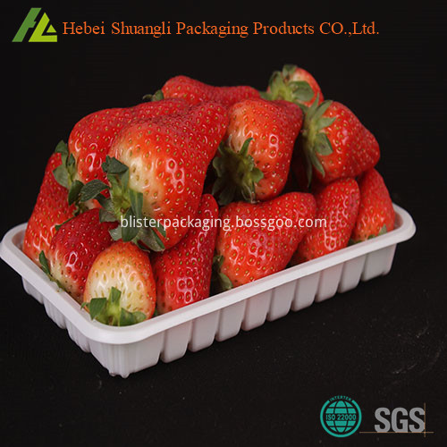 plastic fruit tray plastic fruit tray