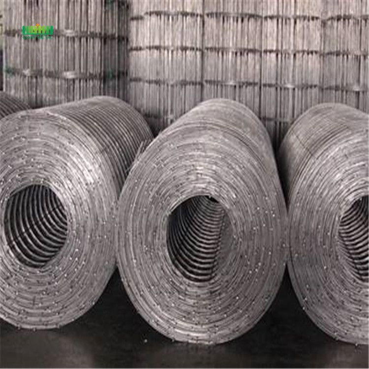 Welded wire  mesh rolls