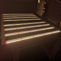 800w led grow light equal 1000watt hps