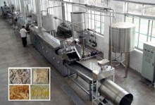 Fruit Chips Production Line