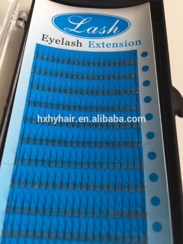 China supplier lash extensions eyelash eye lash extension