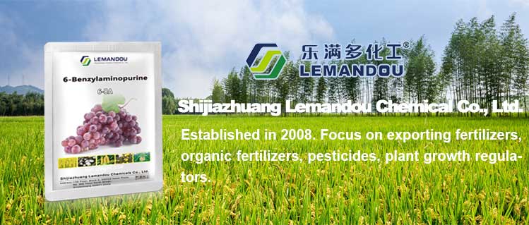 Plant growth regulator 6BA 6-benzylaminopurine 6-benciladenina 98%TC CAS 1214-39-7