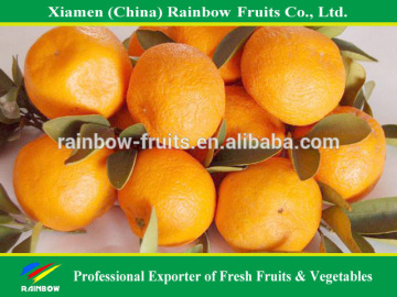 Nanfeng Jiangxi Honey sweet top quality fresh mandarin nanfeng baby mandarin sweet baby mandarin for sale