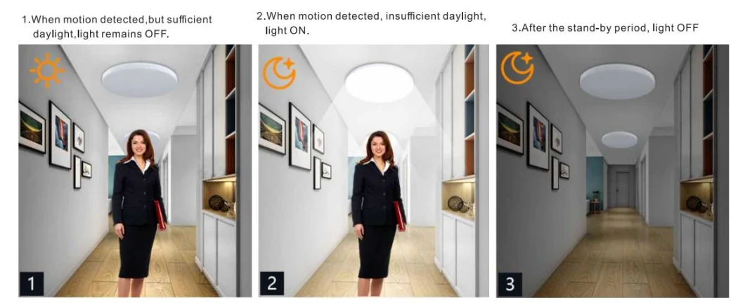 Diameter 310mm LED Ceiling Light with 3000K 4000K 5000K