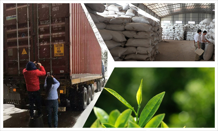 Chunmee Green Tea 9367 (9369,9368) Low-priced Chinese Green Tea Supplier Mass production and supply throughout the year