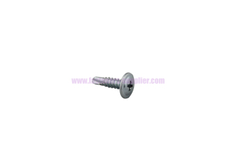 Philip Round Head Self Drilling Screw With Washer China factory