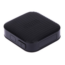 LBS Dual Positioning Smart Auto Gps Tracker