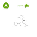 Matériau d'estomac revigorant Proglumide 99% poudre