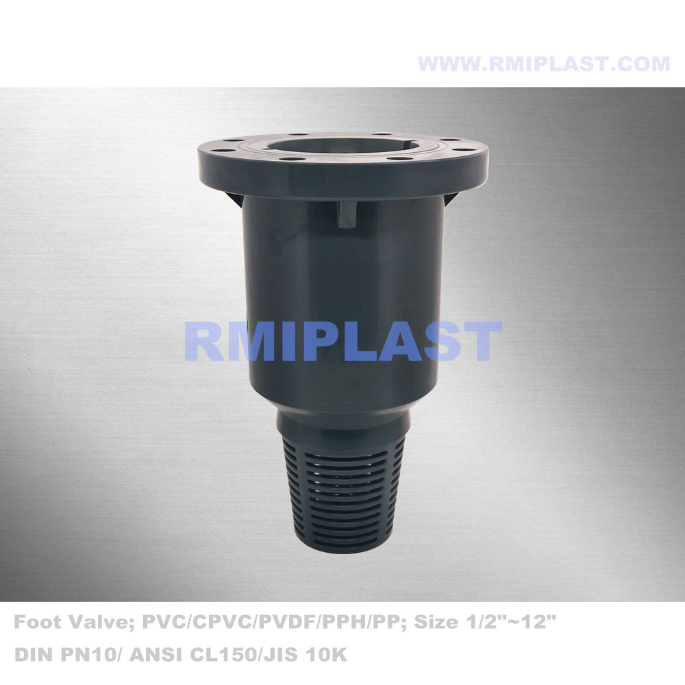 CPVC Foot Valve ذات الحافة DIN50 DN65 DN80