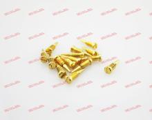 Gold Stainless Steel Self Align Screw