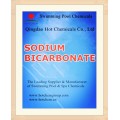 Soda do cozimento do produto comestível (bicarbonato de sódio) CAS nenhum 144-55-8