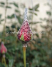 good quality PE rose bud net to India