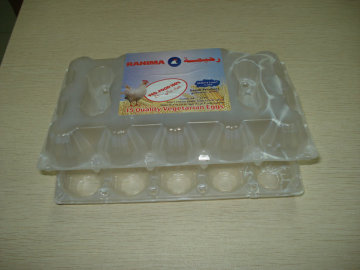 12 Eggs Clamshell Plastic Packing Container