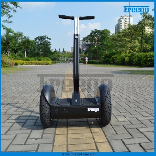 Freego CE Approved 2 Wheel Self Balance Adult Electric Chariot Scooter for Outdoor Sports