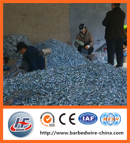 Best price and high quality roofing nails with umbrella head/metal roofing iron nail