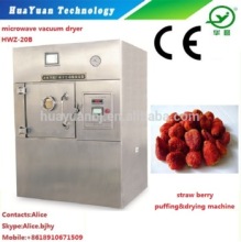 Microwave Vacuum Fruit Snacks Dehydrator