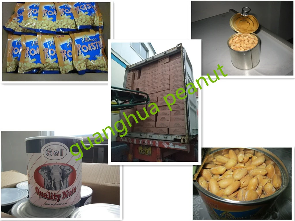 Hot Sale Roasted Peanut Kernel New Crop Origin: China