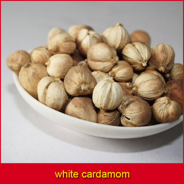 white cardamom