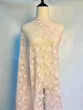 2022 Mesh 100% Polyester Embroidered Fabric