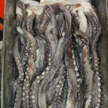 Title: **Frozen Giant Squid Tentacles**