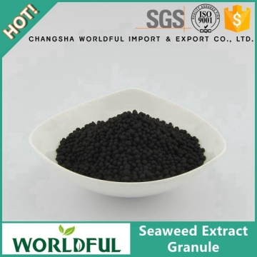 High Quality Seaweed Kelp Extract Granule Seaweed Extract Fertilizer