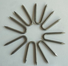 Iron U-Shape Nail in High Quality