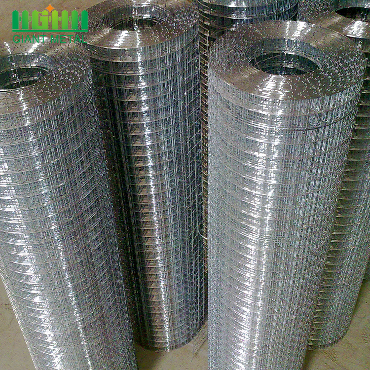 Galvanized and PVC Coated Welded Wire Mesh Rolls
