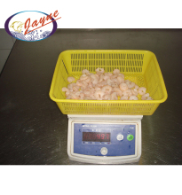 Seafood Frozen Shrimp Price Sea Food Shrimp Frozen Frozen Shrimp