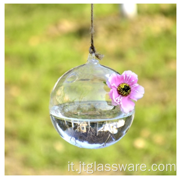 Vaso in vetro a sfera per terrario in vetro sospeso