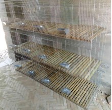 cheap rabbit cages/breeding rabbit cage/commercial rabbit cage from china anping factory