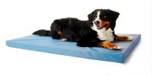 Cooling Pet Dog Water Bed