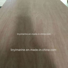 Okoume/Bintangor/Keruing/Pencil Ceder Face and Back Commercial Plywood