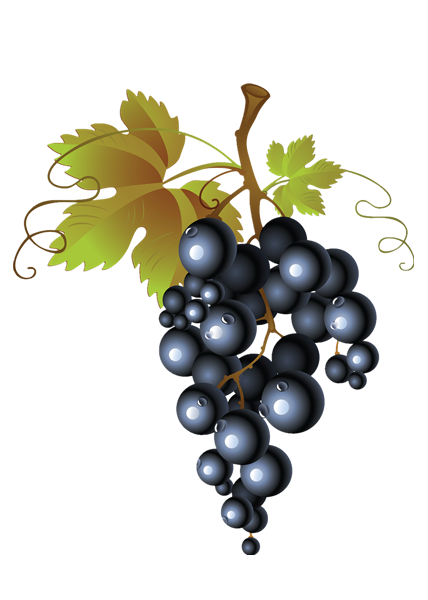 Высококонцентрированное виноградное ароматизирующее масло