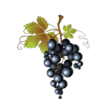 Aceite aromatizante de uva de alta concentración