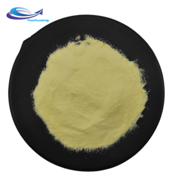 Top quality freeze dried jackfruit powder jackfruit powder