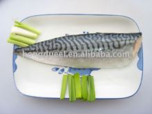 NORWAY FROZEN MACKEREL