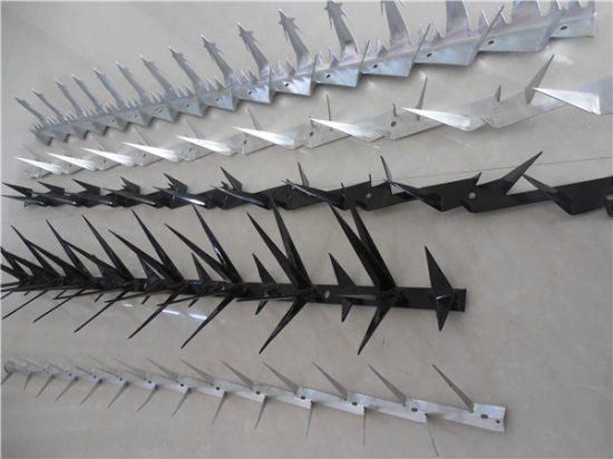 Anti Theft Wall Anti Climb Spikes Anti Theft Wall Anti Climb Spikes