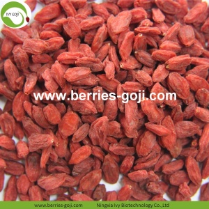 Factory Nutrition Dried Raw Organic Wolfberries