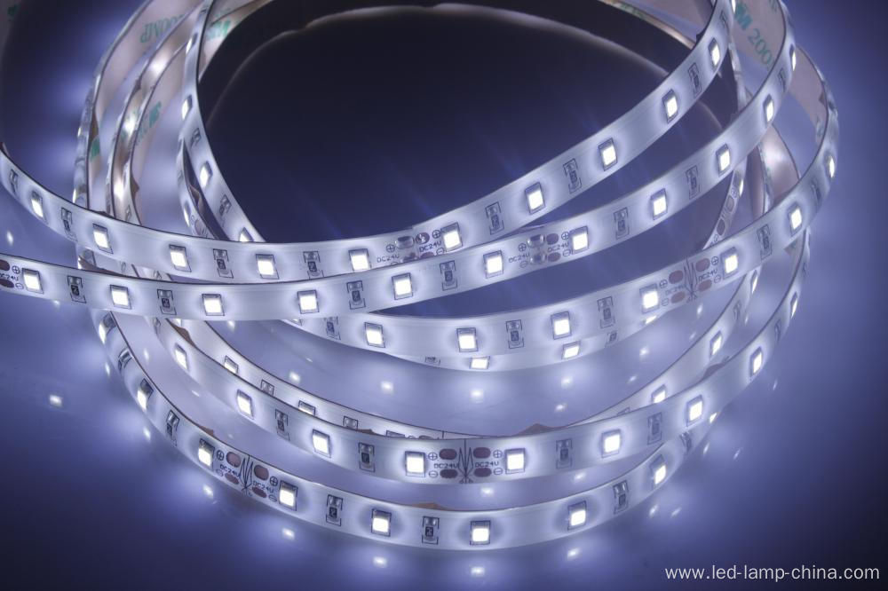 Brightness White 60leds SMD2835 Led Strip Light