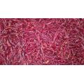 Piment Chaotian 4-7cm 10kg