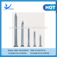 Concerete nail China Suppliers