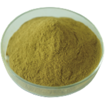 Natural Extract Chlorogenic Acids From Green Coffee Bean