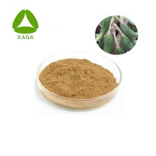 Devil's Claw Extract Harpagoside Powder 19210-12-9