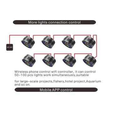 Lampada da 80W Aquarium LED con ventilatori di raffreddamento controllabili